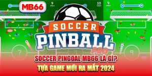 Soccer Pingoal